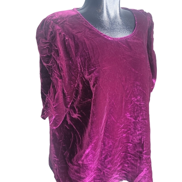 Torrid Plum Colored Velour Short Puff Sleeve Top 2 - Picture 3 of 7
